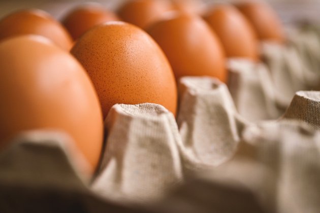 Aliments / Foto: Pixabay Aliments / Foto: Pixabay