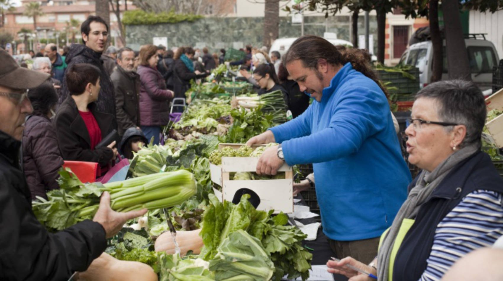 Cómo conseguir las alcachofas del Prat directamente de los agricultores que las cultivan