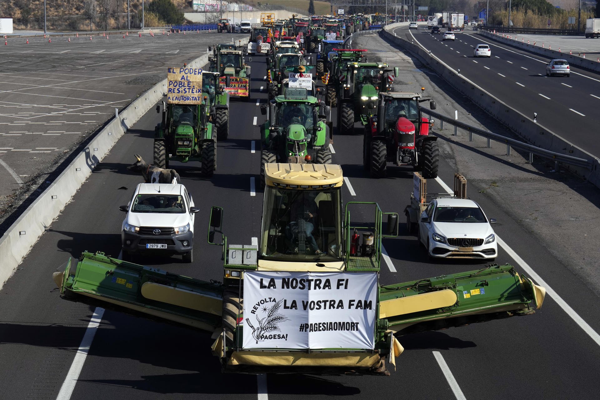 La finestreta única per reduir la burocràcia de la pagesia catalana s'activarà a finals de març