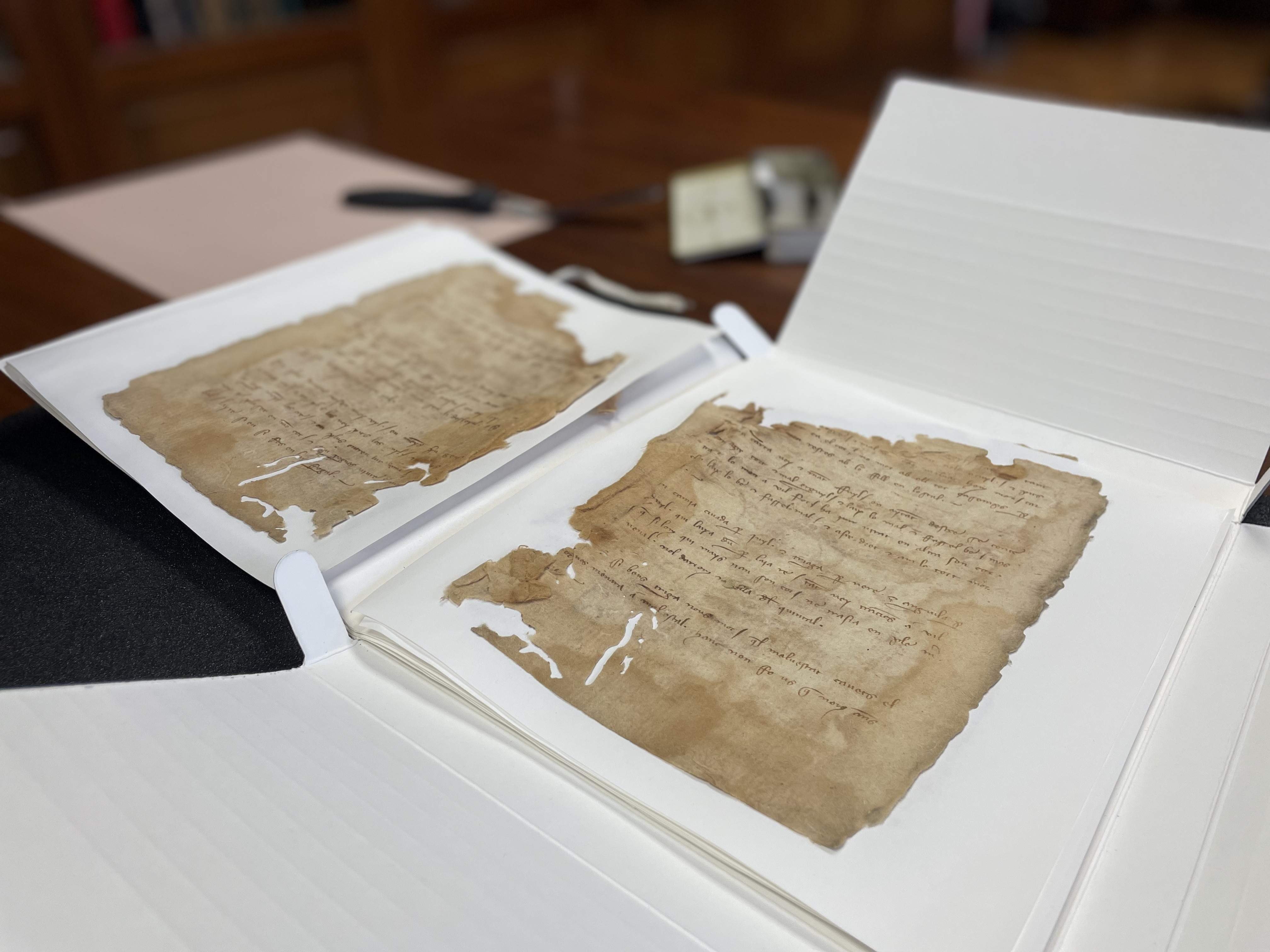 Hallazgo histórico en la Catedral de Barcelona: un fragmento de cancionero trovadoresco del siglo XIV