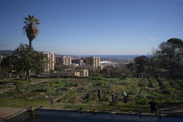 Des de Can Soler hi ha unes vistes privilegiades de la ciutat / Foto: Irene Vilà Capafons