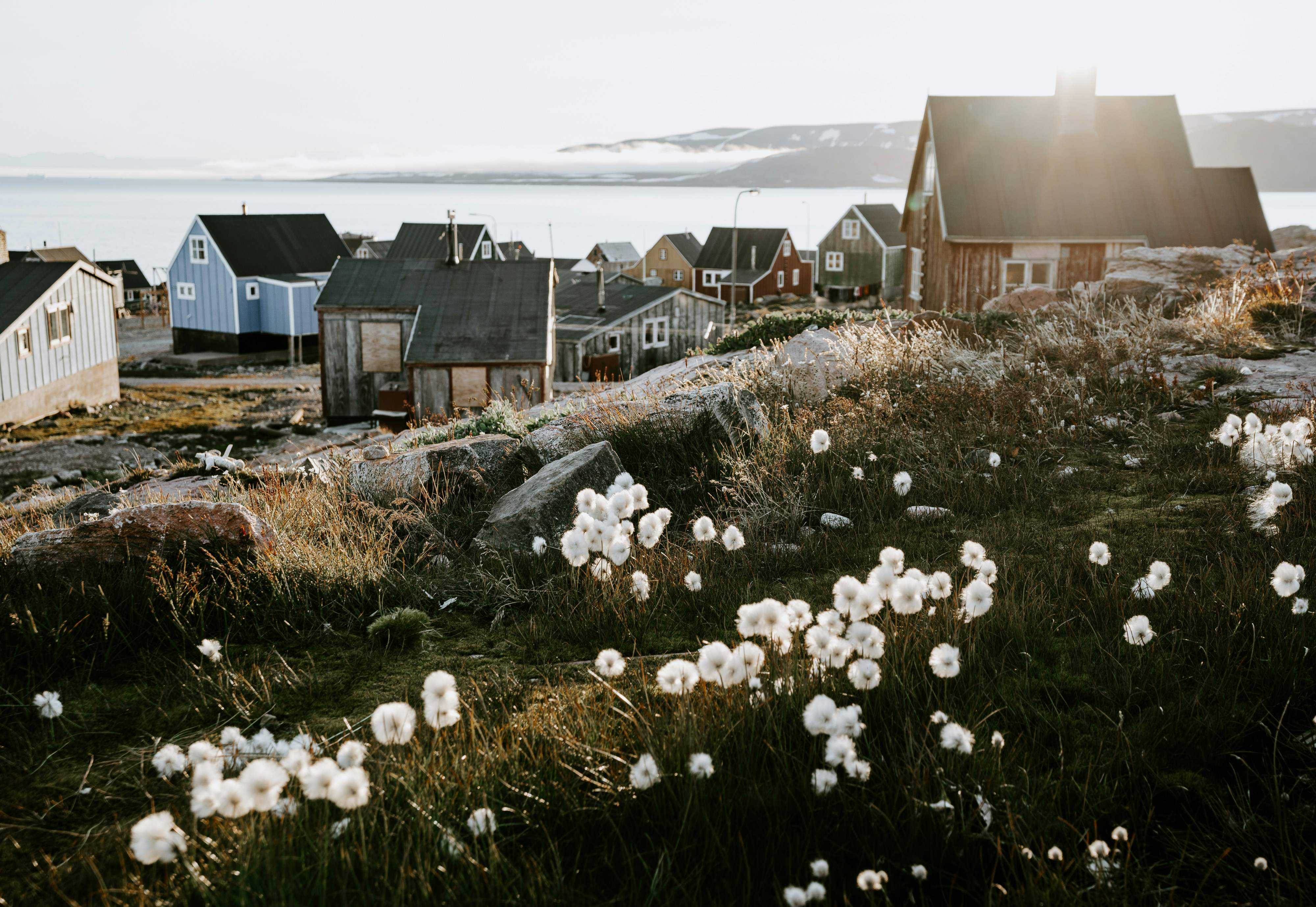 Groenlandia florece y los expertos disparan todas las alarmas: "Se forman humedales"