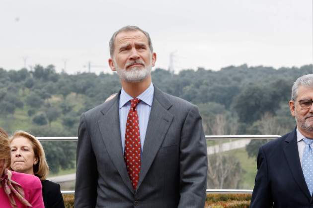 Felipe cara rara GTRES Felipe cara rara GTRES