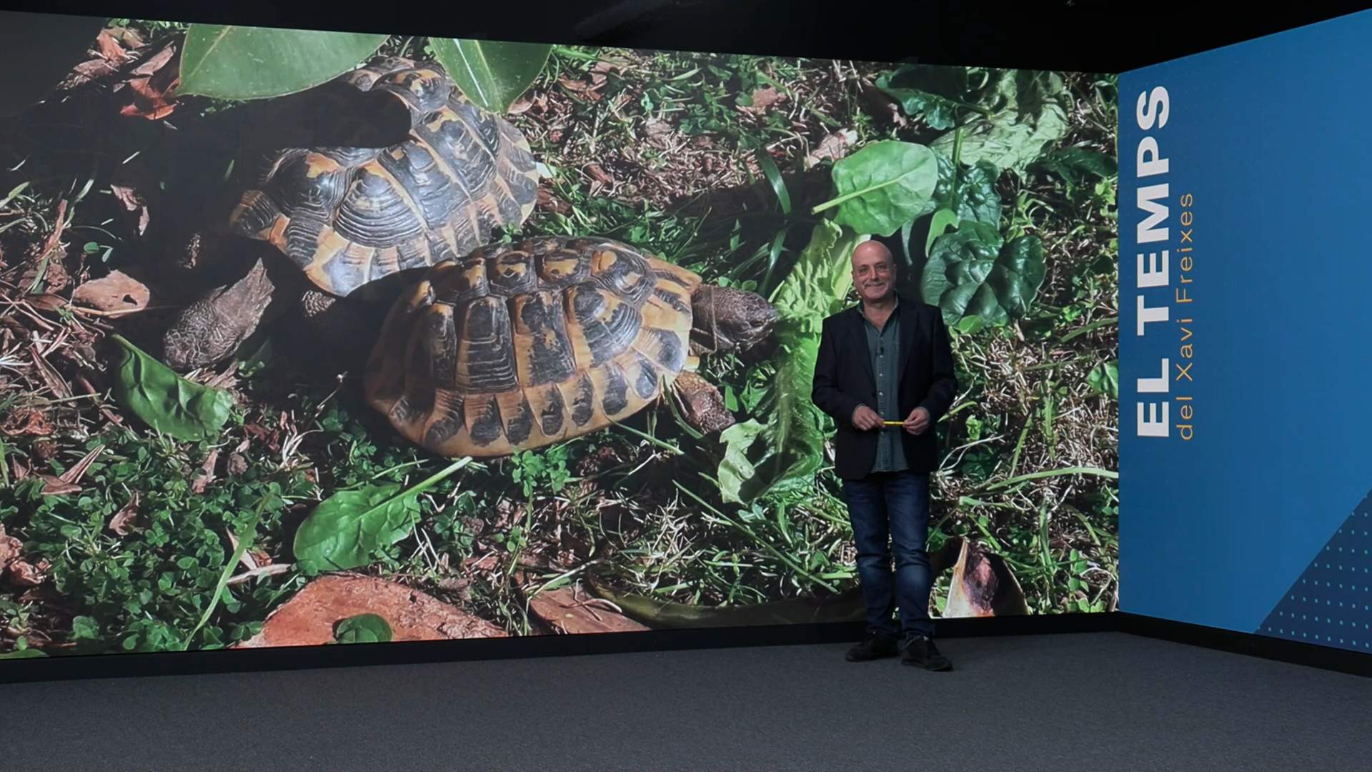 Las tortugas anuncian el final del invierno en Catalunya... pero se equivocan: ¿por qué?