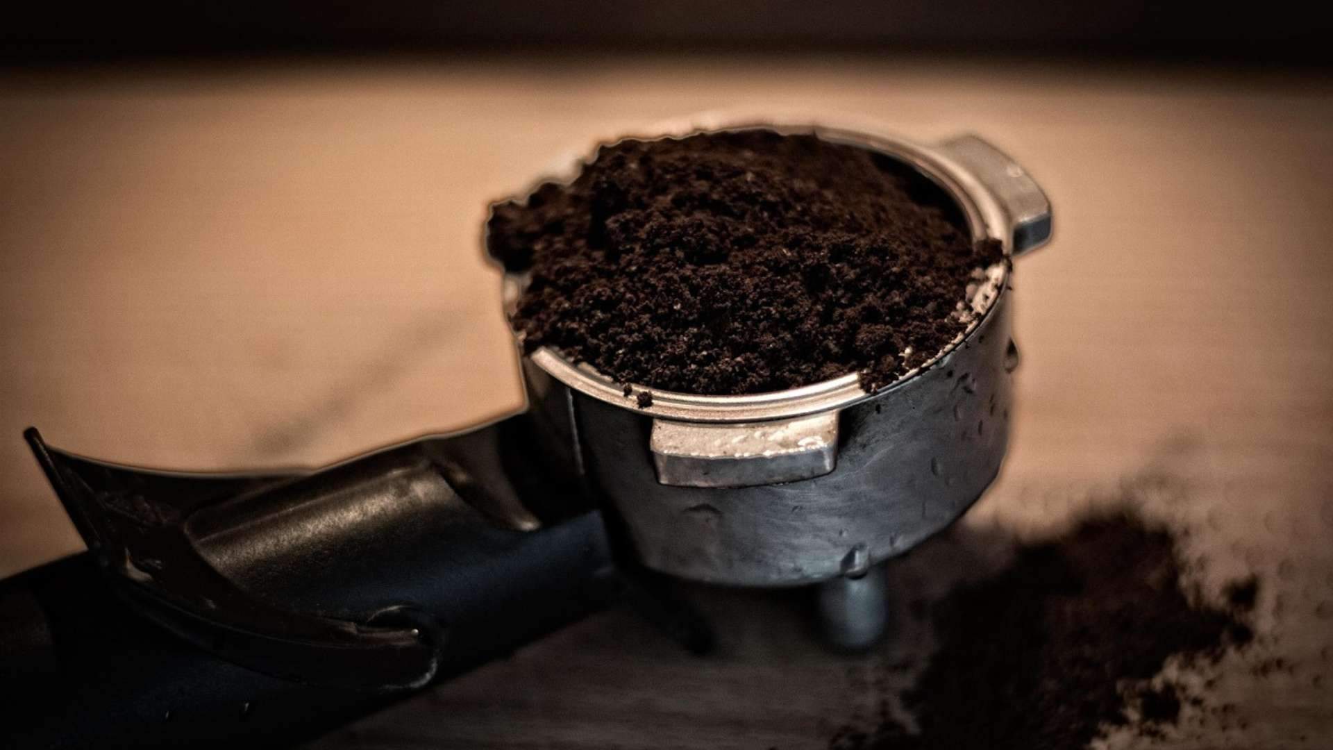 Estos son los increíbles usos que le puedes dar a los posos de café que siempre tiras. ¿Los conoces?