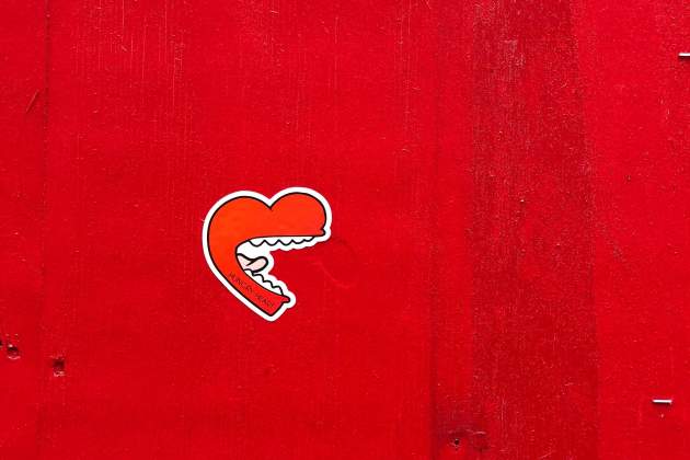 amor unsplash amor unsplash