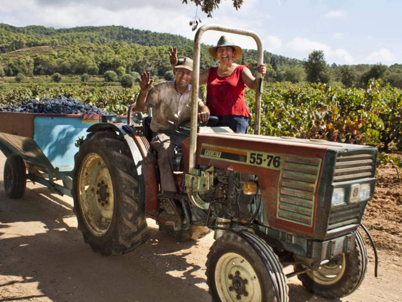 Un dels vins més barats del Celler de Can Roca és català i es fa a l'Empordà