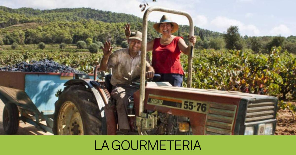 Uno de los vinos más baratos del Celler de Can Roca es catalán y se hace en el Empordà