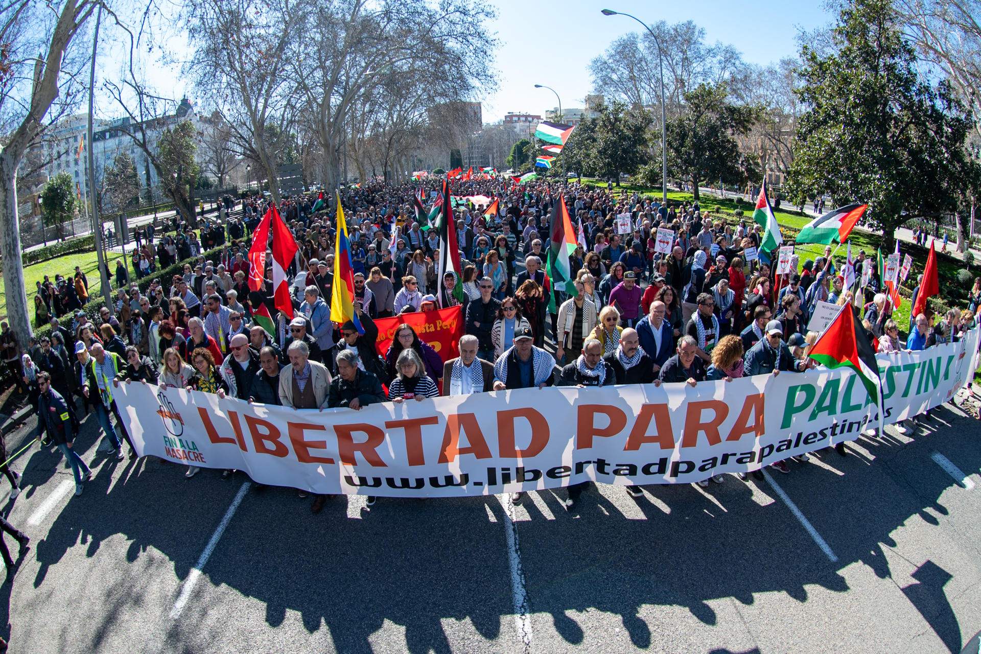 Sis ministres del govern Sánchez se sumen a la manifestació en suport a Palestina de Madrid