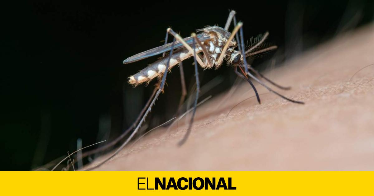 Europe warns of West Nile virus spread Europe warns of West Nile virus spread
