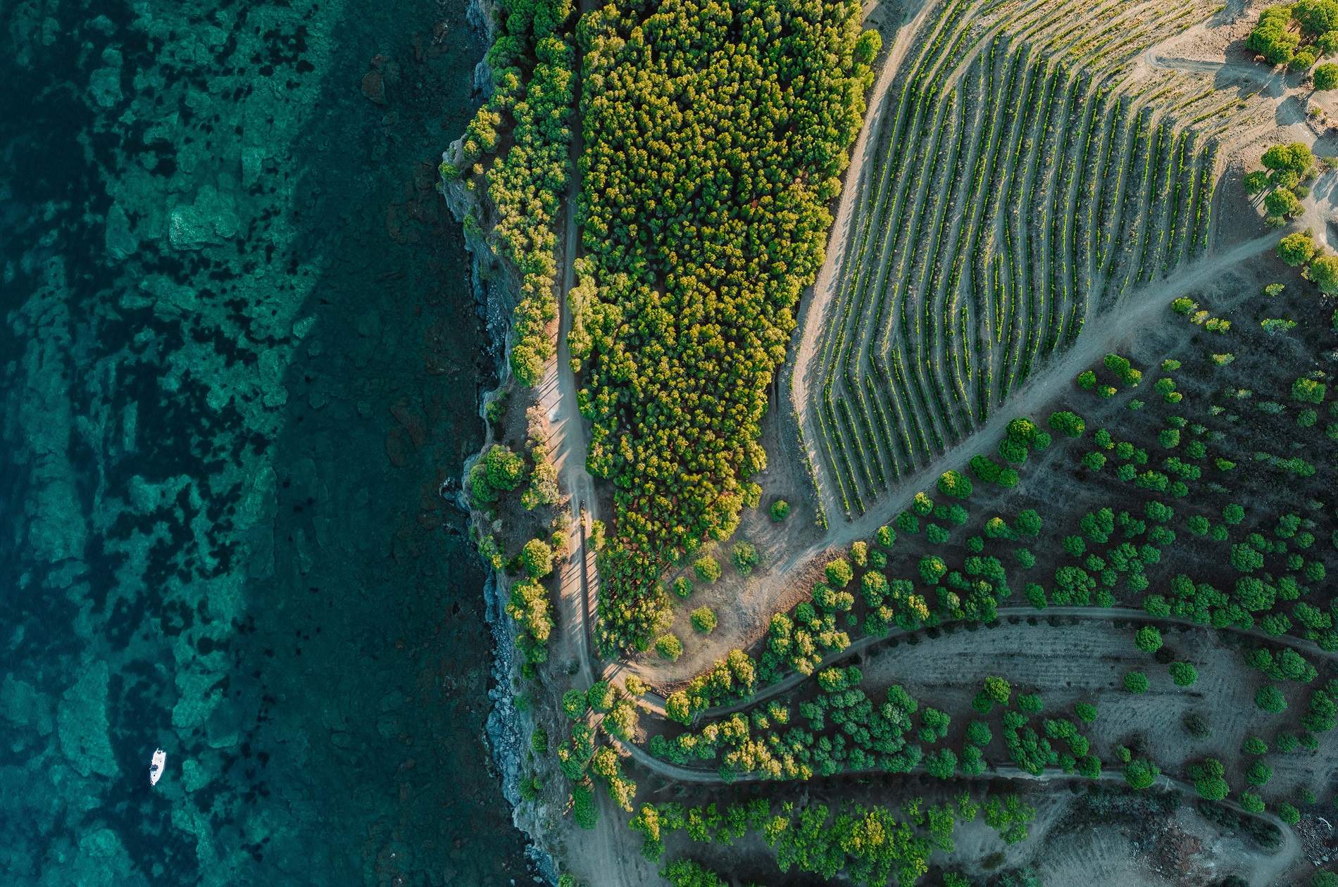 Los mejores sumilleres del mundo escogen 7 vinos catalanes en la selección vinícola más prestigiosa