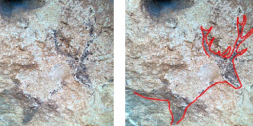 Captura de pantalla 2024 02 27 210719