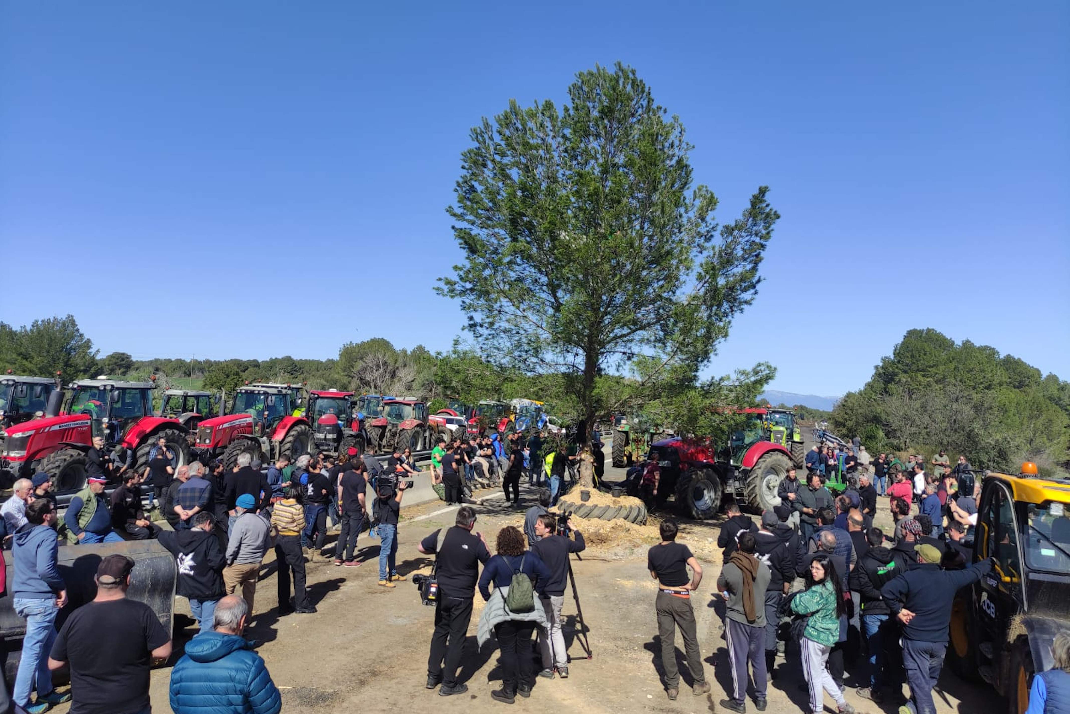 Los agricultores, en pie de guerra, plantan un pino de 10 metros en medio de la AP-7