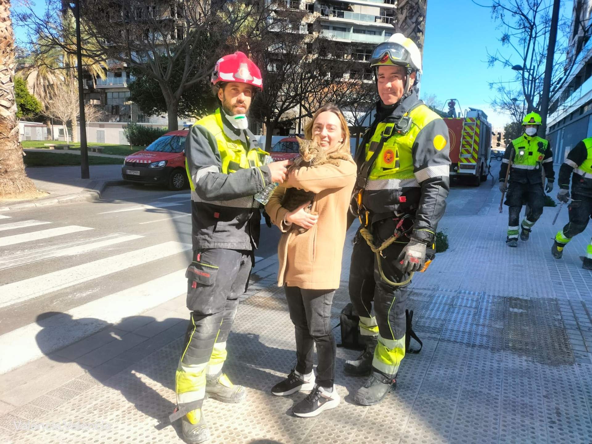 El milagro de Coco: encuentran un gato vivo en el edificio de València 8 días después del incendio