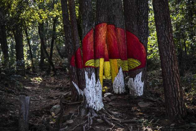 bosque setas pintadas pueblecito bosque setas pintadas pueblecito