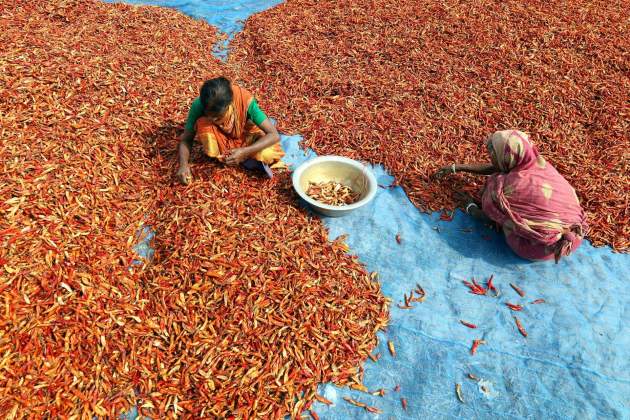 pimientos|huevos chili bangladesh / Foto: Syed Mahabubul Kader / Europa Press pimientos|huevos chili bangladesh / Foto: Syed Mahabubul Kader / Europa Press