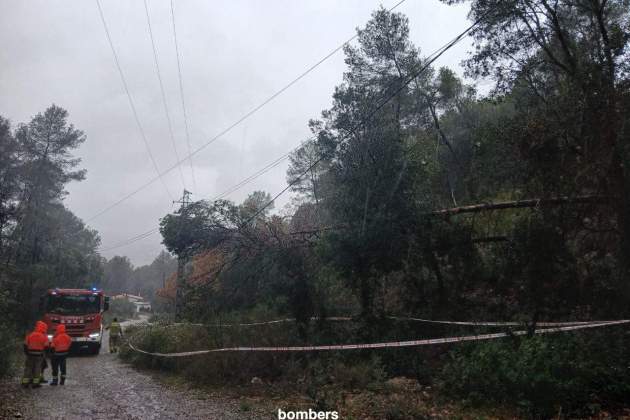 Bombers arbres cables gelica temporal Bombers arbres cables gelica temporal