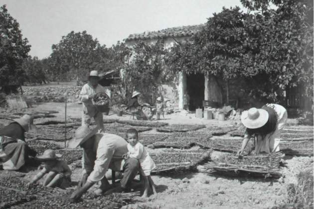 Campesinos de Cabrera (principios del siglo XX). Fuente Fotos Antiguas de Mallorca
