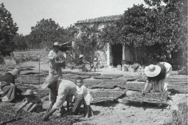 Campesinos de Cabrera (principios del siglo XX). Fuente Fotos Antiguas de Mallorca Campesinos de Cabrera (principios del siglo XX). Fuente Fotos Antiguas de Mallorca