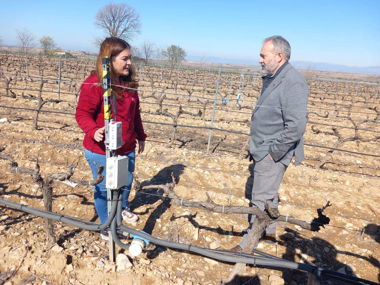 ¿Se pueden obtener los mismos (o mejores) rendimientos en una viña con menos agua?