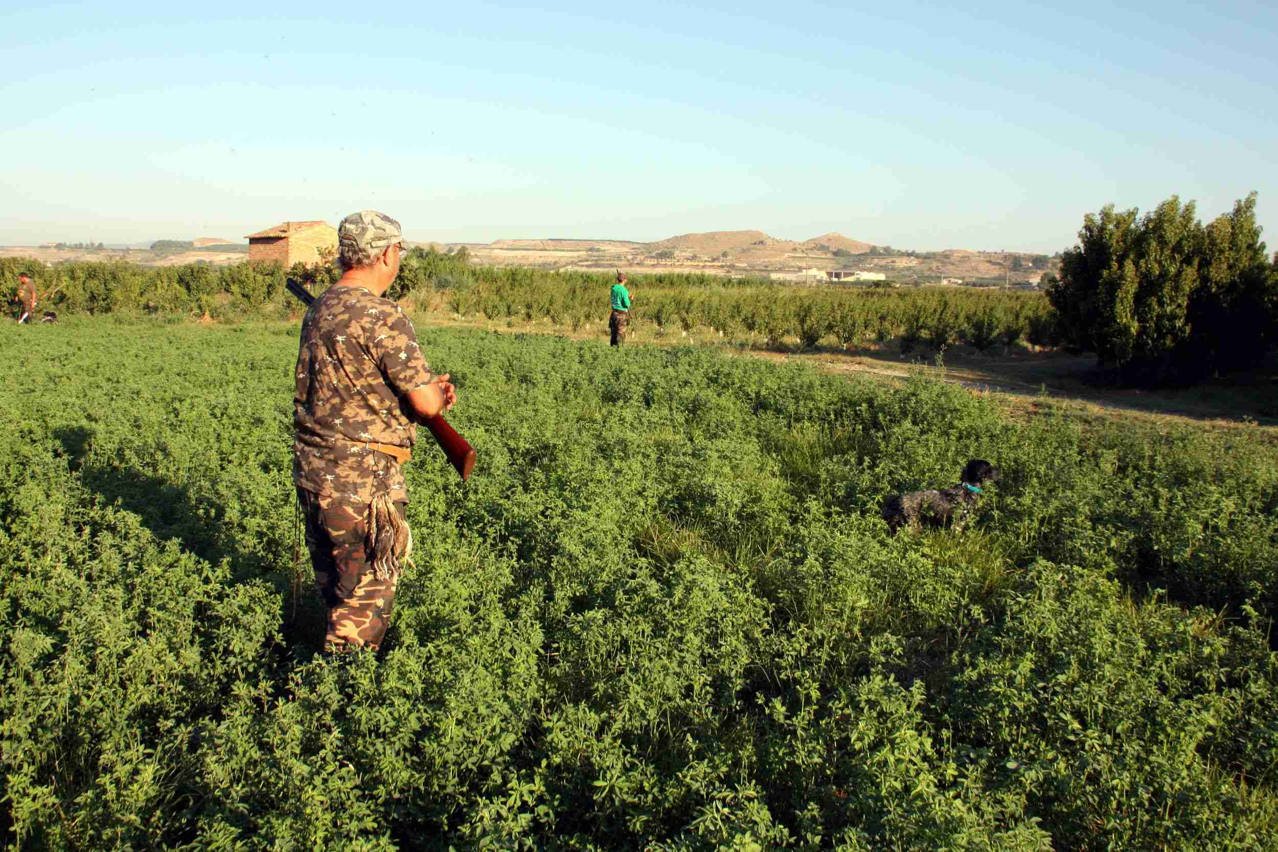 El Govern d'Extremadura promou la caça entre nens de 10 i 12 anys