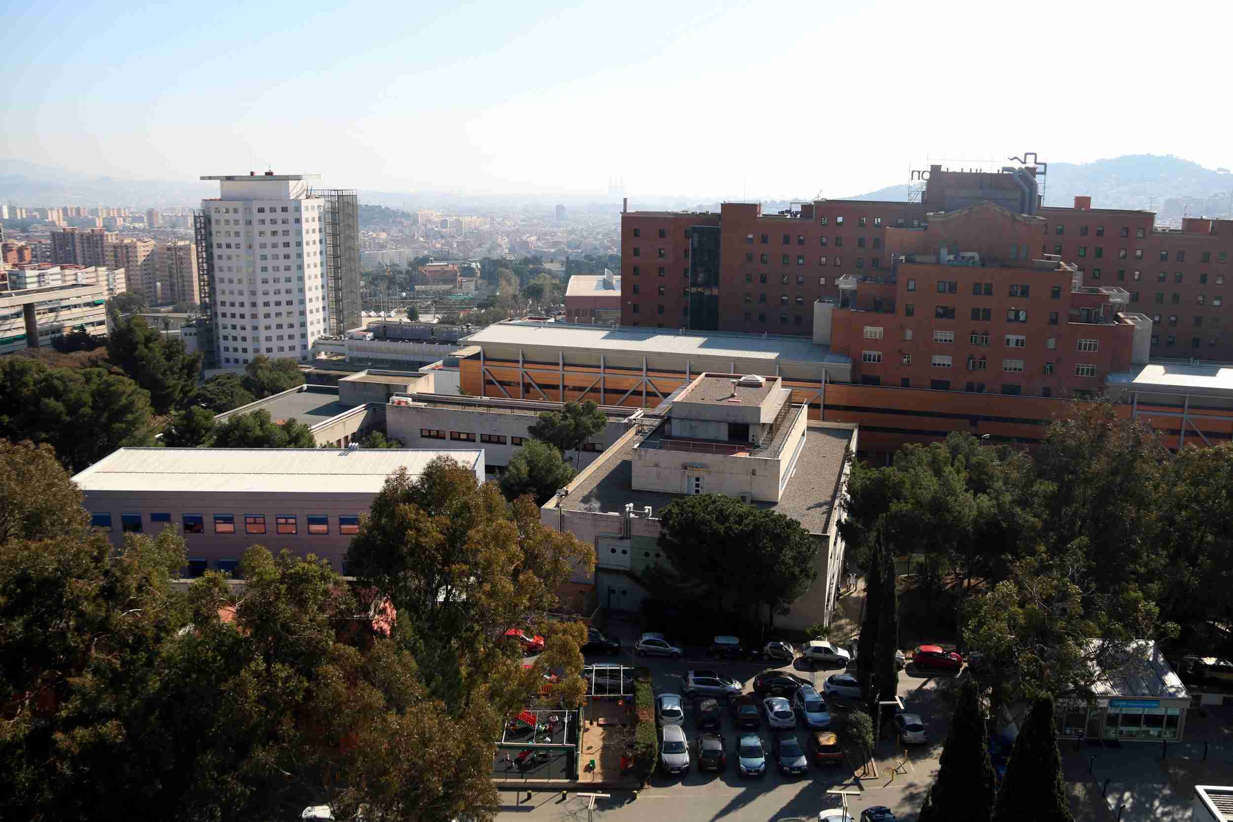 Un nuevo medicamento alarga la supervivencia en casos de cáncer de ovario adelantado