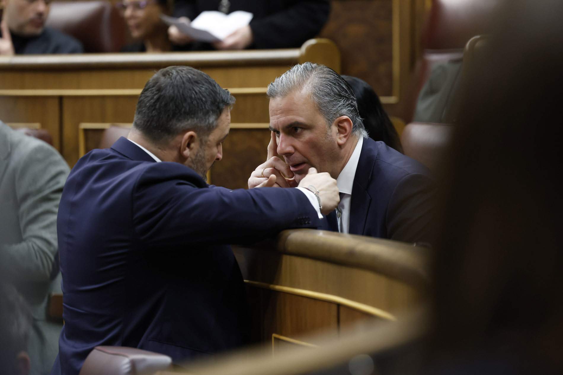 Vox ahoga aún más el poder de Ortega Smith