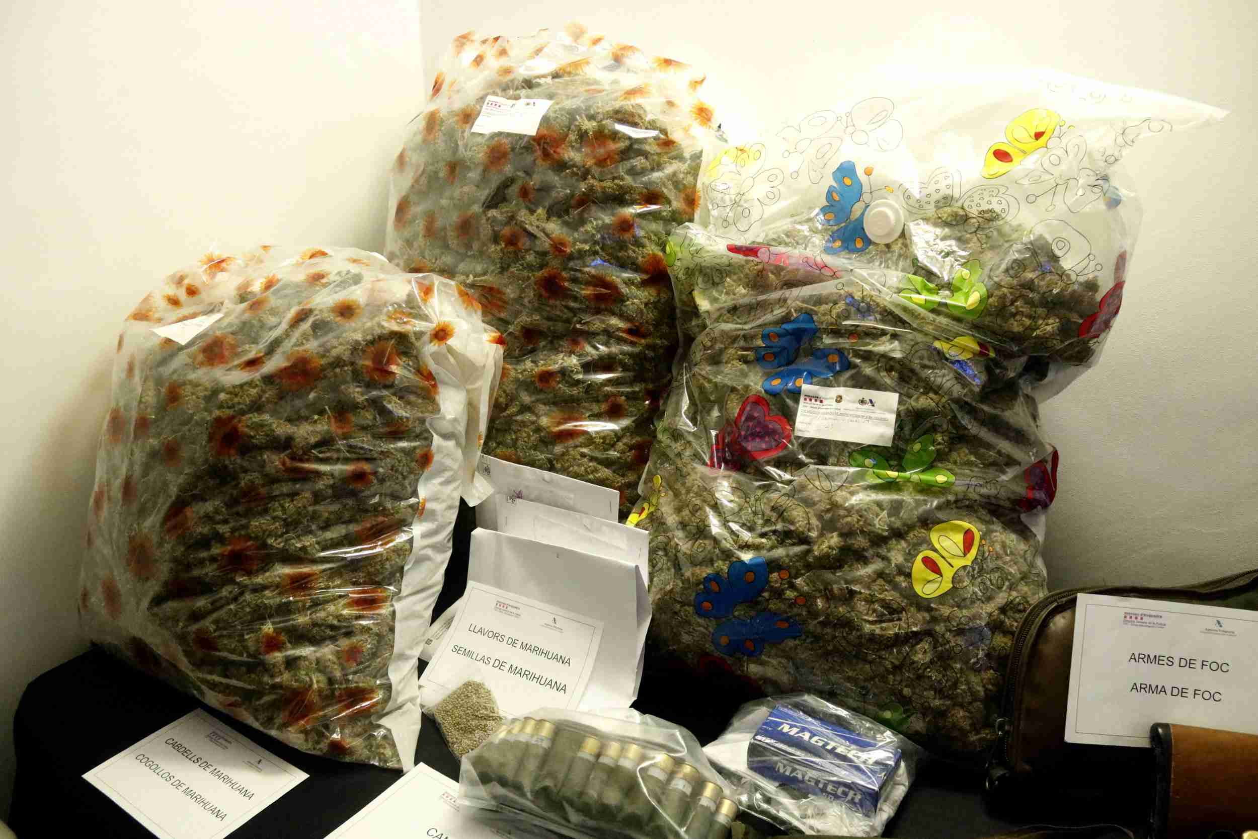 Cárcel para 13 integrantes del clan de Figueres que cultivaba marihuana