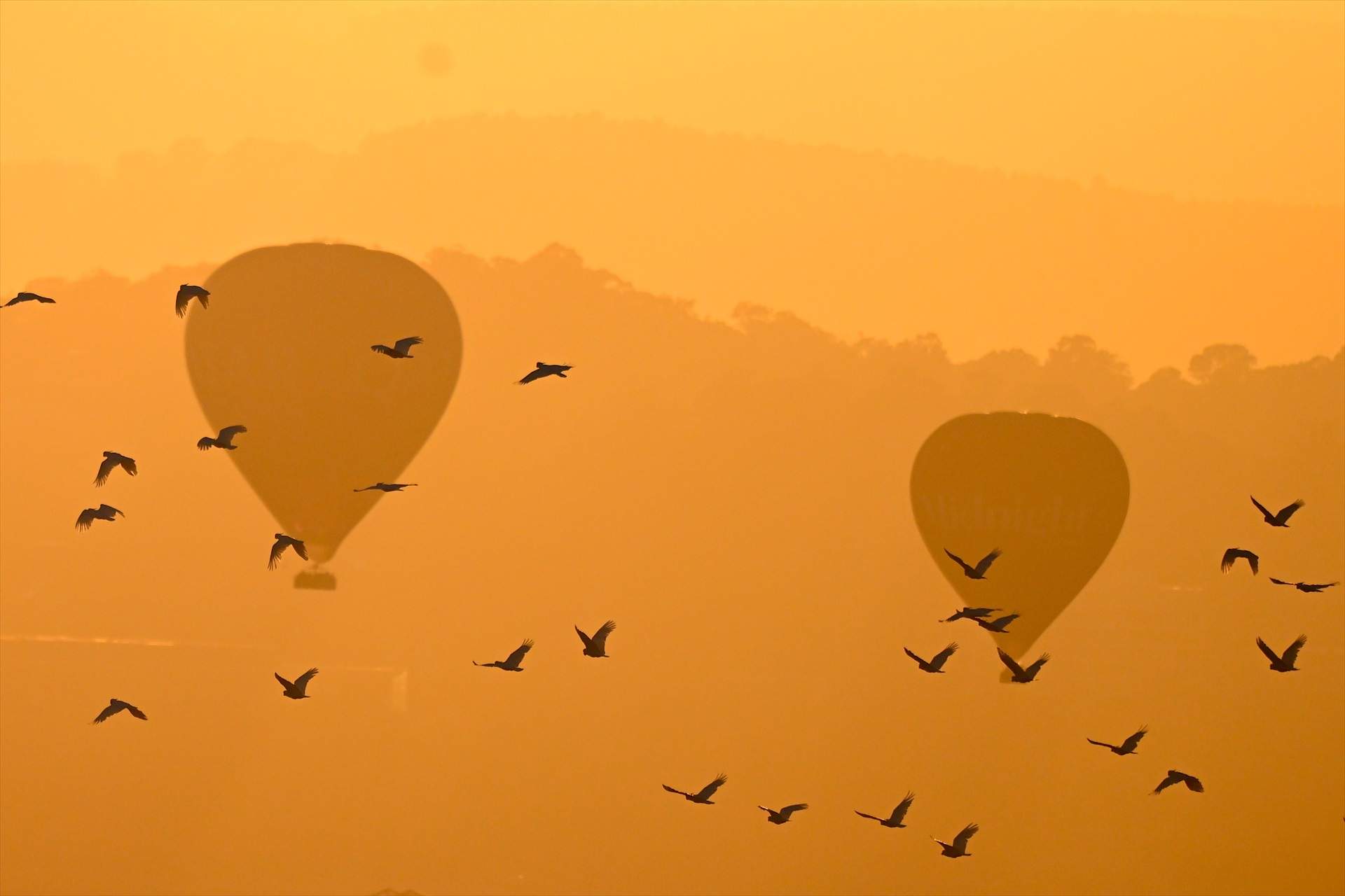 Canberra (Australia) Canberra (Australia)