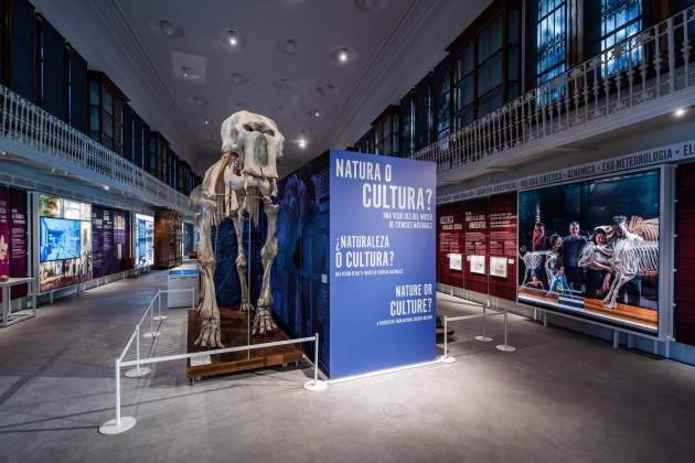 esqueleto elefante abuelo ciudadela foto pepe herrero mcnb 2