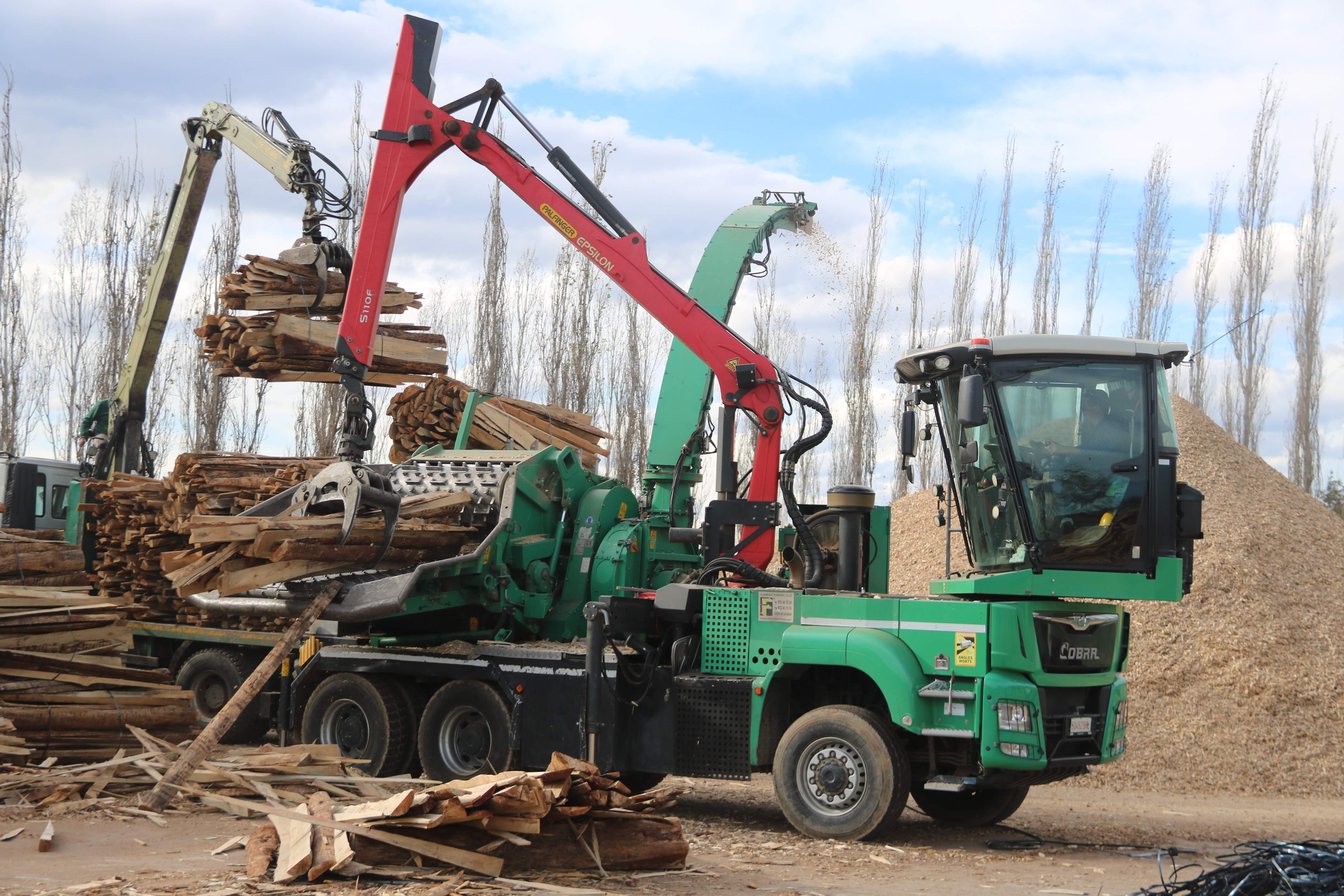 La sequera incrementa la producció de biomassa en retirar arbres morts per evitar incendis