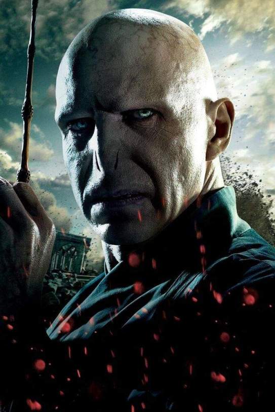 Lord Voldemort Lord Voldemort