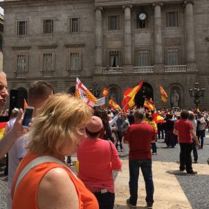 Aggressive unionists try to enter Barcelona city hall, which removes yellow ribbon