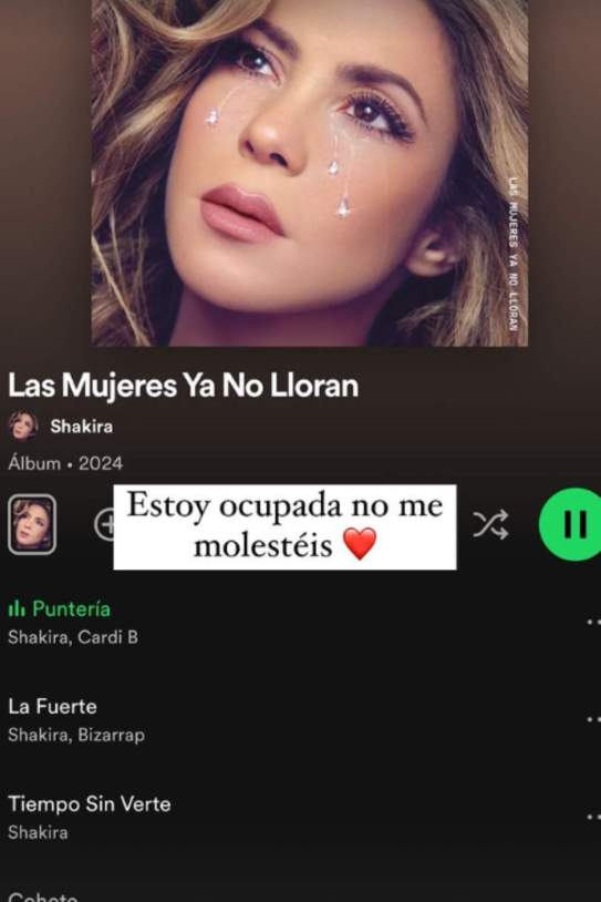 Storie Laura Escanes sobre Shakira / Instagram