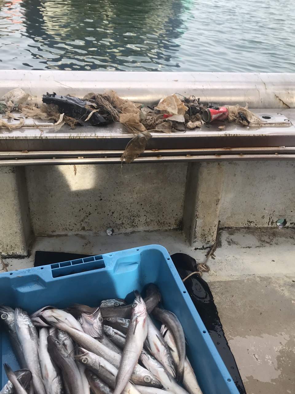 En la costa catalana no solo se pescan peces