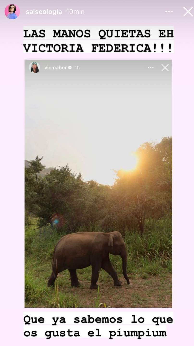 vic elefante Instagram