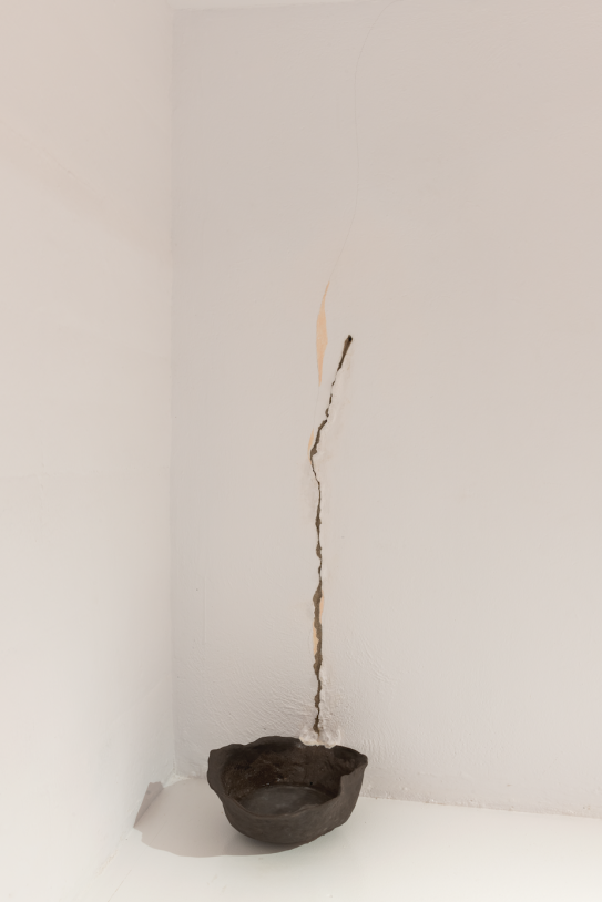 Inauguració suelo y no cerrado Alba Mayol ©Fundació Joan Miró Foto Roberto Ruiz 14 Inauguració suelo y no cerrado Alba Mayol ©Fundació Joan Miró Foto Roberto Ruiz 14