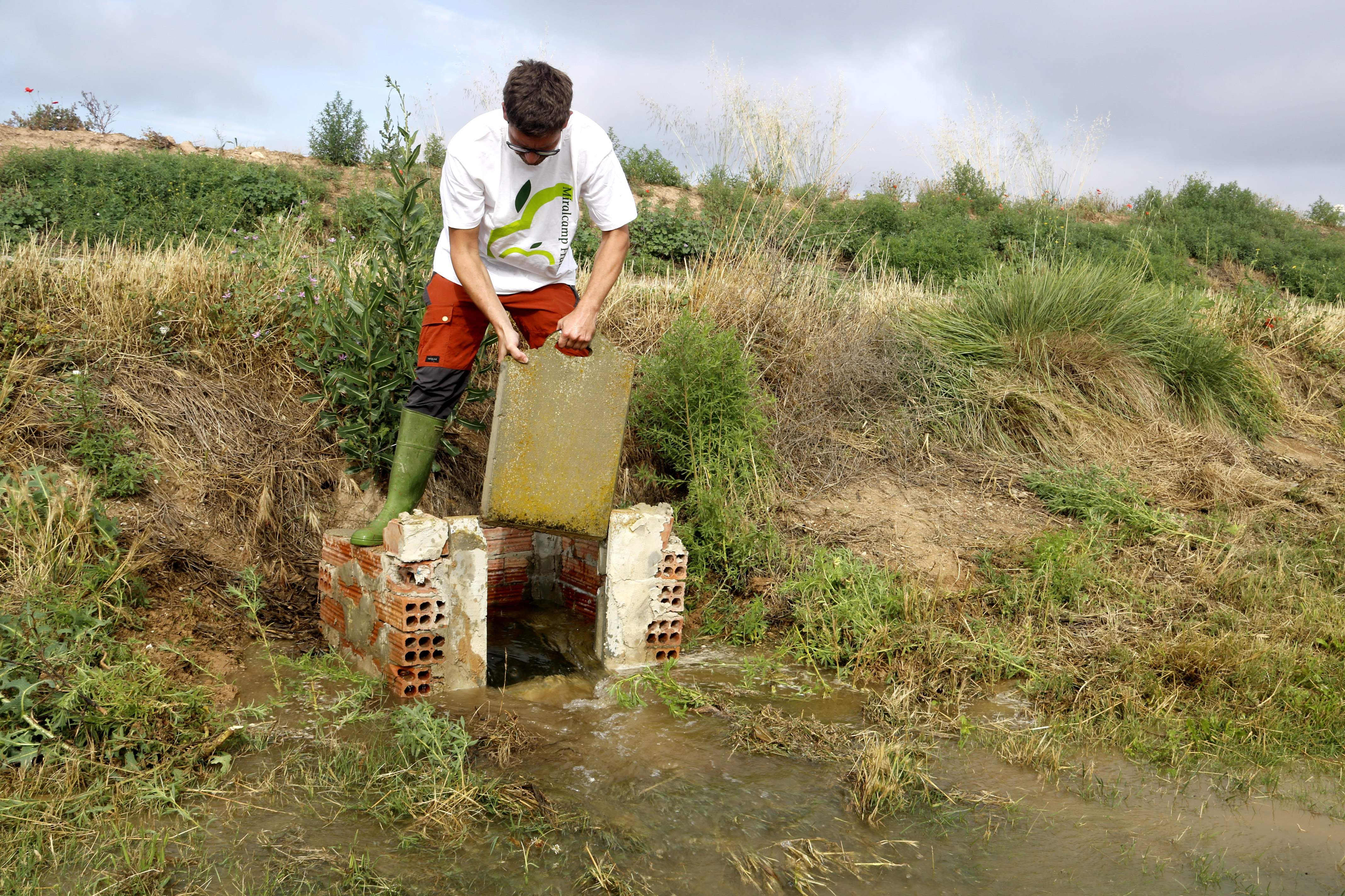 Els 27 acorden eximir els petits agricultors de sancions i controls mediambientals per calmar les protestes