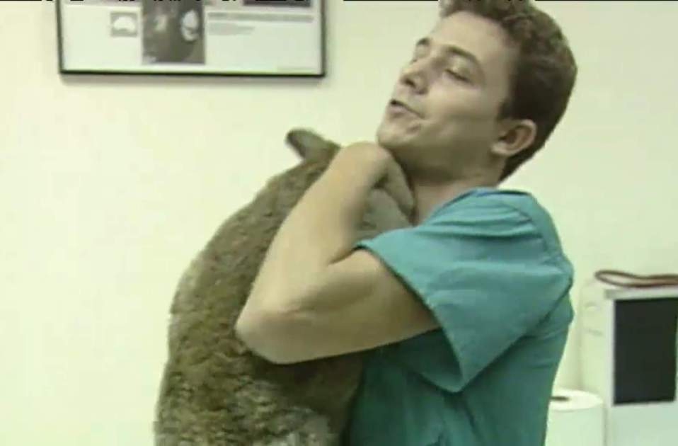 Carlitus, Veterinaris Tv3 Carlitus, Veterinaris Tv3