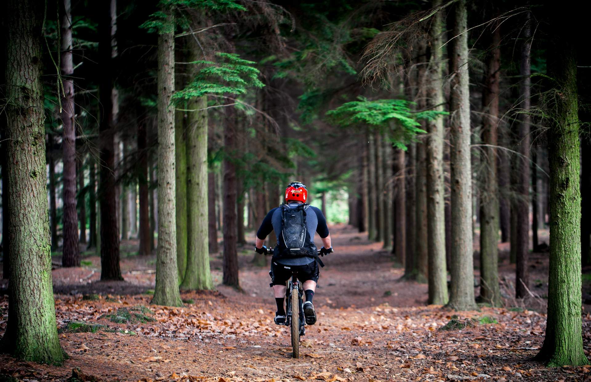 montar en bici