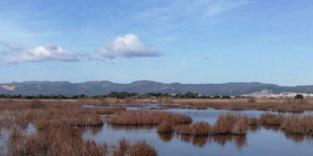 Estany Remolar Filipines