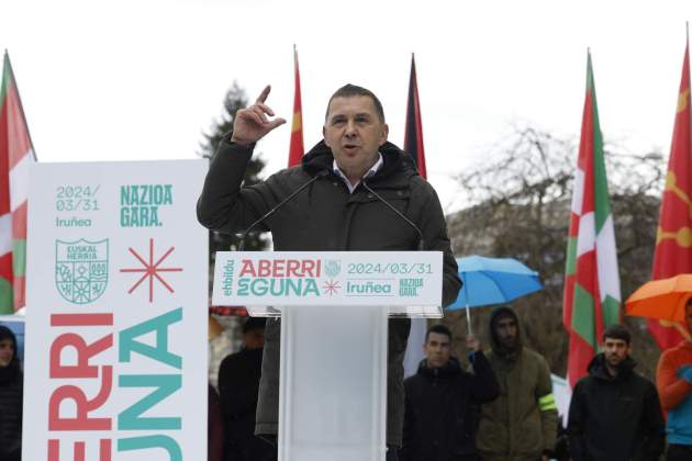 arnaldo otegi eh bildu efe arnaldo otegi eh bildu efe