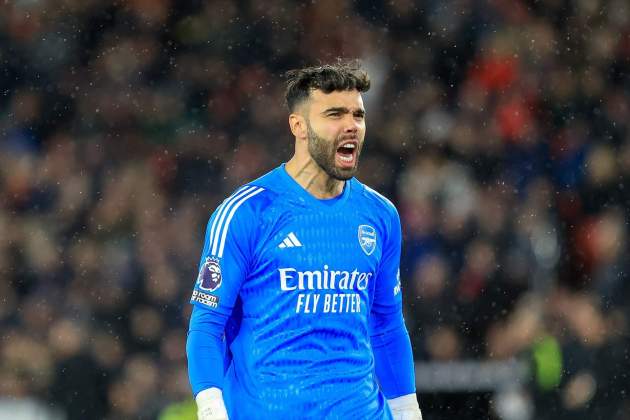 David Raya Arsenal David Raya Arsenal