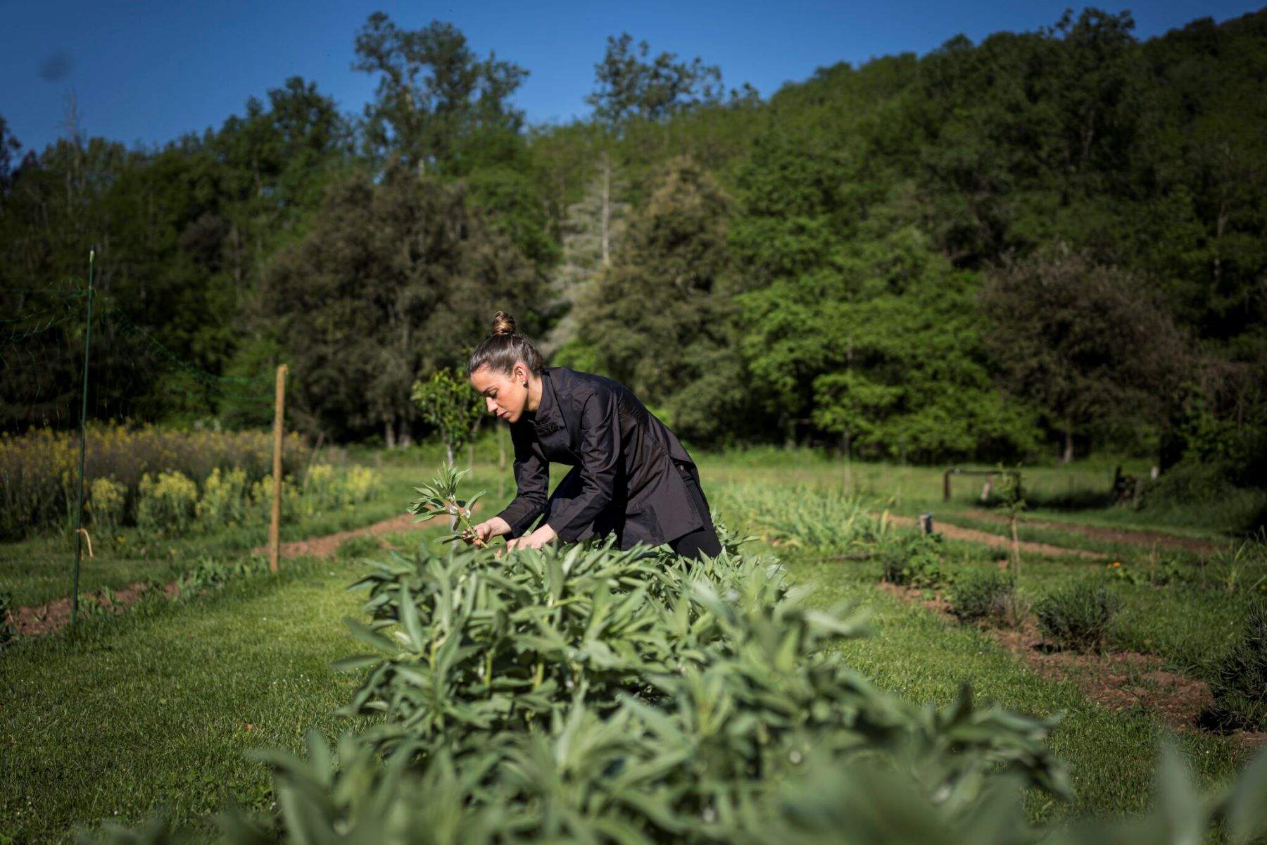 El restaurante Les Cols acerca la mejor gastronomía de la Garrotxa al corazón de Barcelona