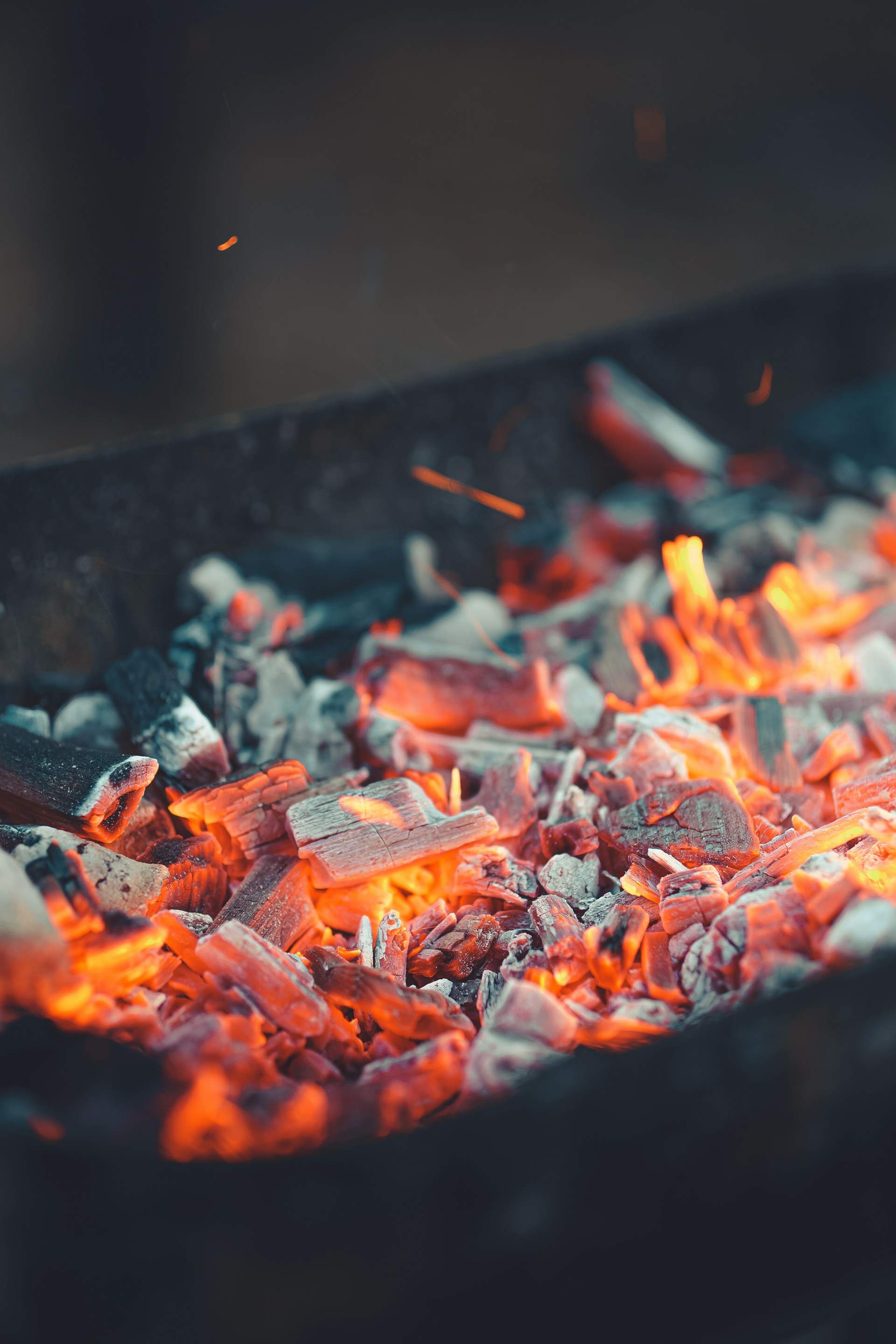 Què es pot cuinar en una barbacoa? Molt més que carn!