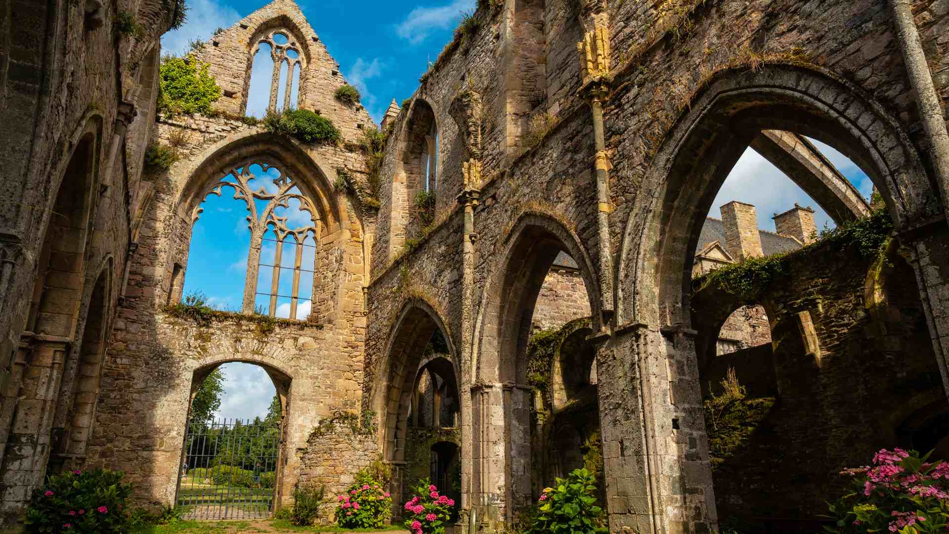 L'abadia abandonada i menjada per la naturalesa: digna d'un conte de fades