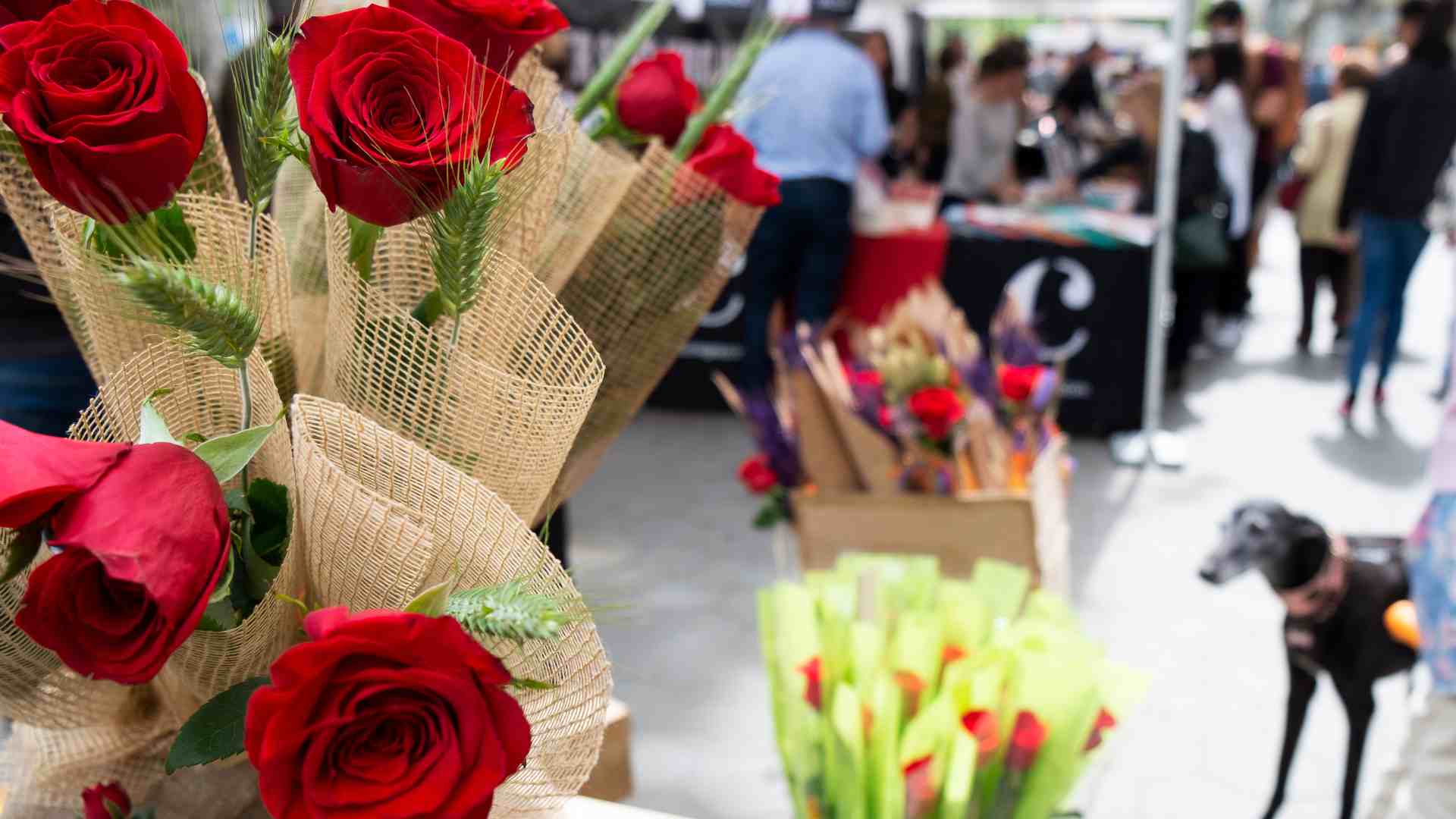 Feliç Diada de Sant Jordi 2024: 15 frases originals per felicitar el 23 d'abril per WhatsApp