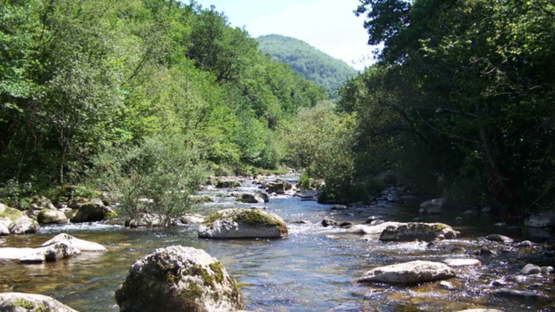 Descobreix una de les rutes més boniques de l'Estat: camina entre passareles i salts d'aigua