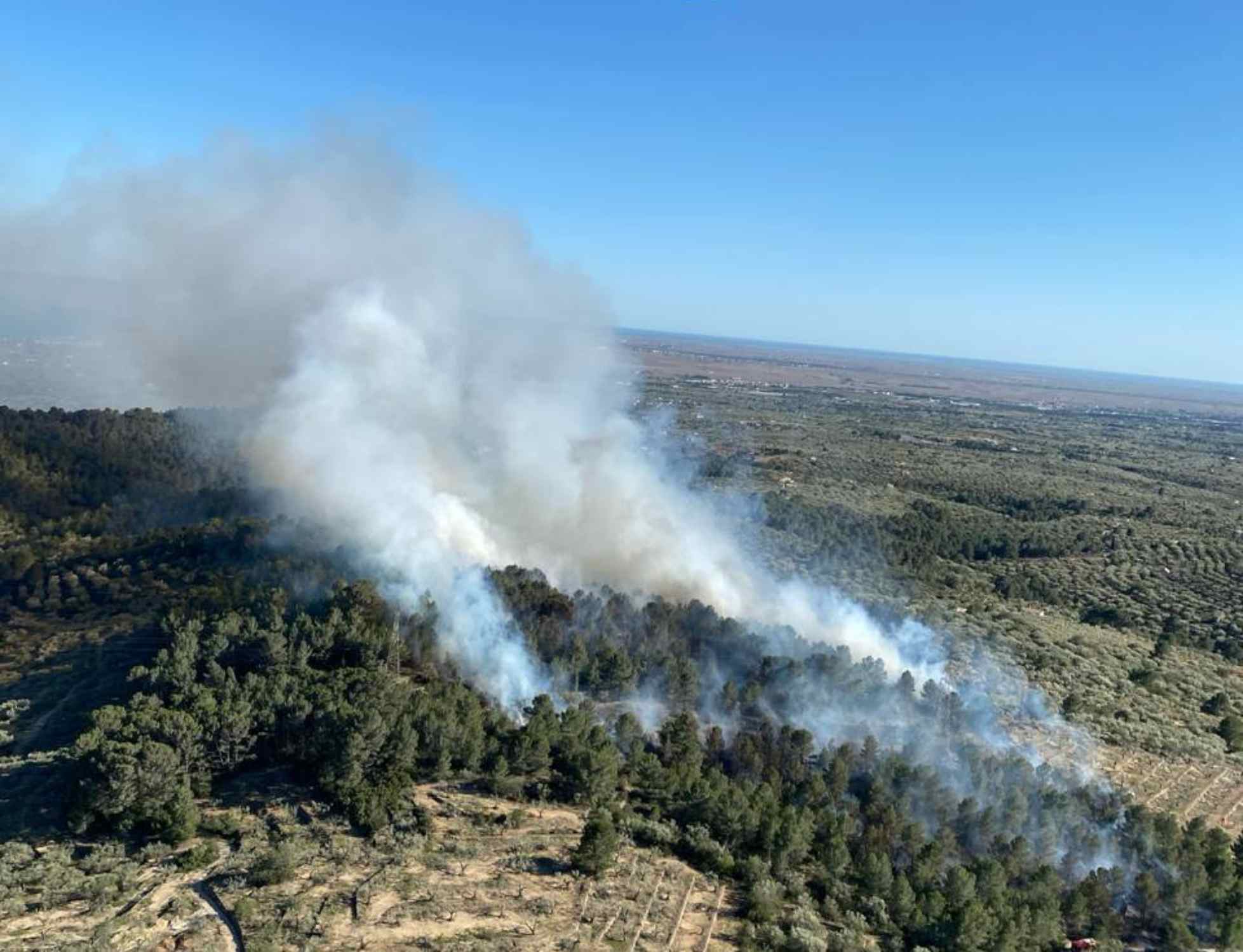 Un coche calcinado provoca un incendio forestal en el Perelló y el viento genera varios focos secundarios