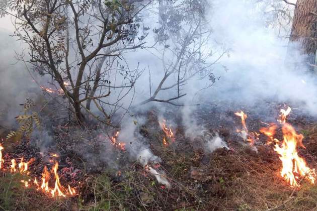 foco secundario incendio forestal perello